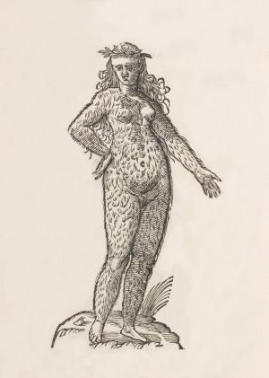 A group of Mifajene go for a swim