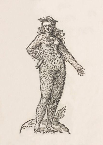 File:Mifajene Female 01.jpg