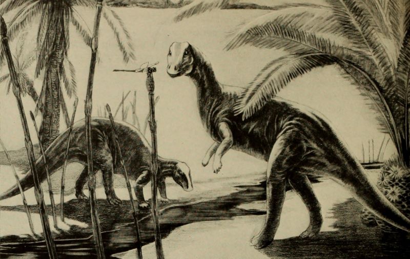 File:Saapen Gilaari.jpg