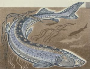 Illustration of a Lacutão