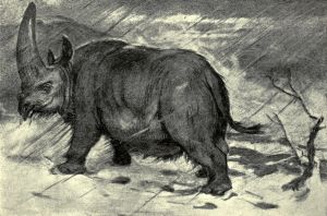 Aerbicar Drawing 01.jpg