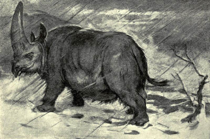 File:Aerbicar Drawing 01.jpg