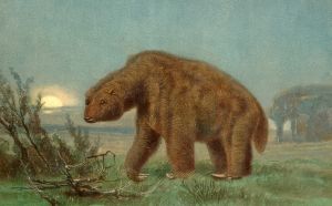 Payalawa Fauna Preguio Painting 01.jpg