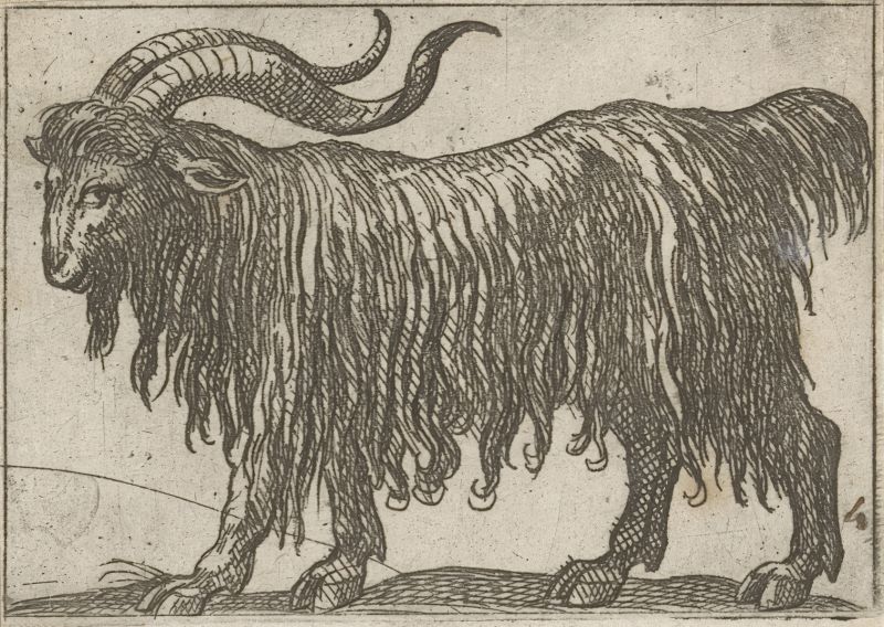 File:Kandaro01.jpg