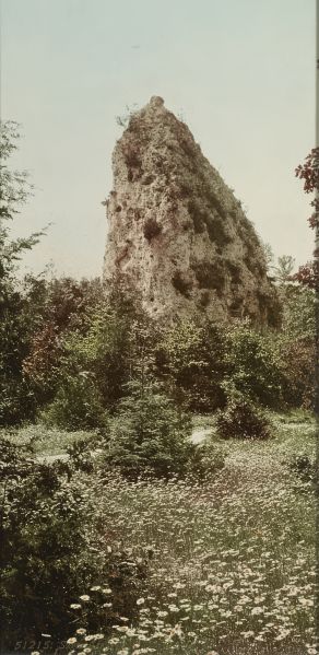 File:Termite Mound Photo.jpg