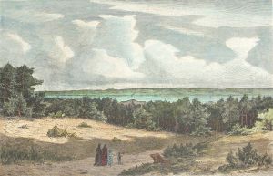 Zol Bay Illustration