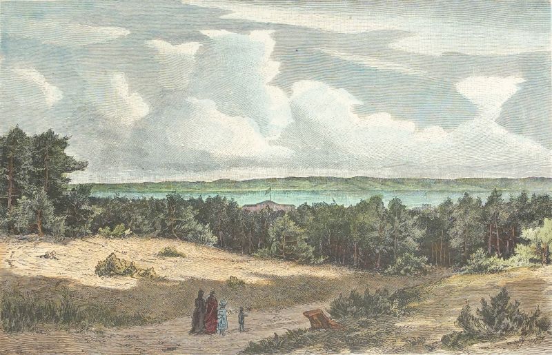 File:Zol Bay Illustration 01.jpg