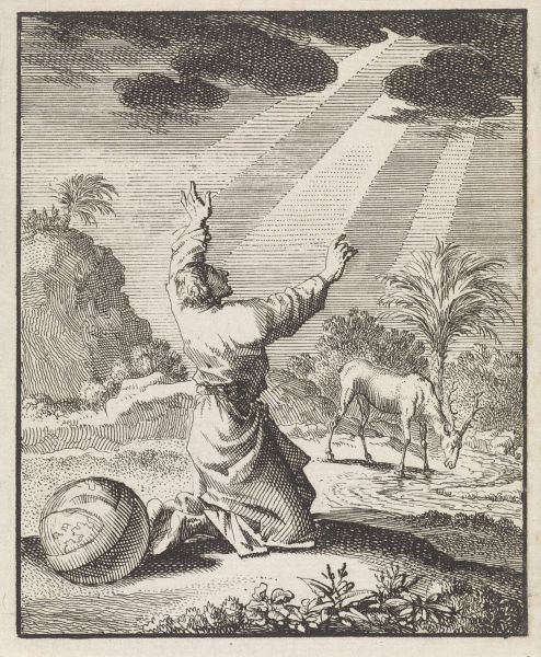 File:Attuning to Light.jpg