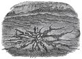 Thumbnail for version as of 15:35, 8 April 2026