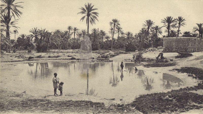 File:Mature Oasis Spirit 01.jpg