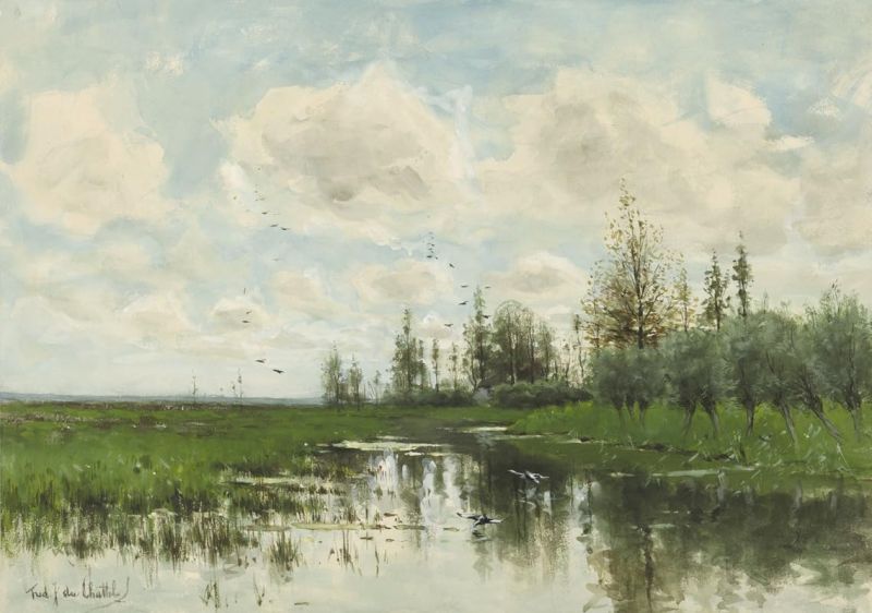 File:Balúrail Belargae Swamp 01.jpg