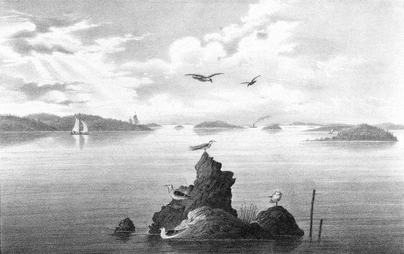 File:Drawing of Lake Roslan.jpg