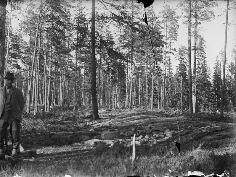 File:Fewe'yo Forest Photo 01.jpg