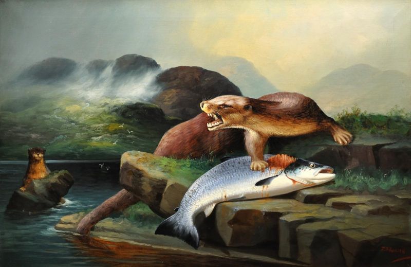 File:Mifajene Fighting.jpg