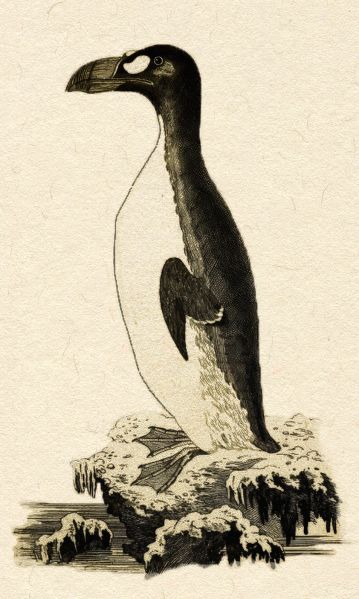 File:Ishegīsa 01.jpg