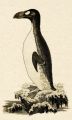 Thumbnail for version as of 05:06, 7 October 2026