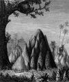 The area around the House of Jirna is composed of many termite mounds.