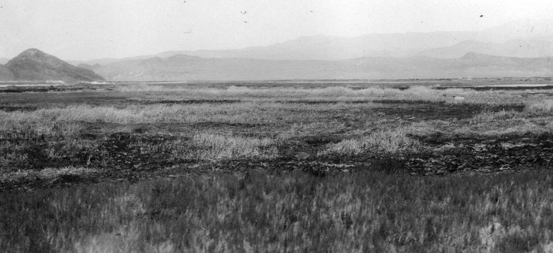 File:Barerte Waste Photo.jpg