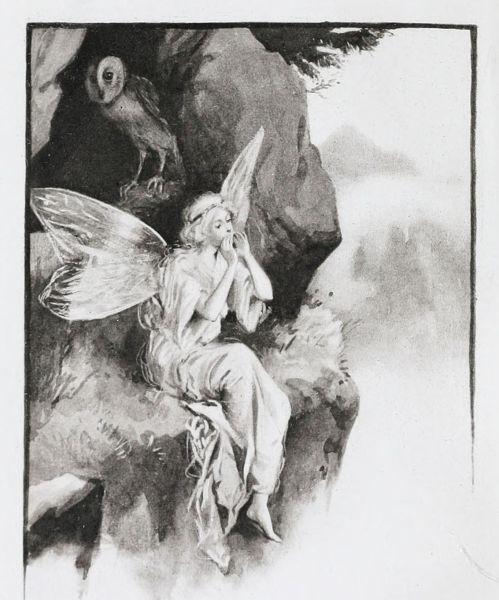 File:Lutreok Female.jpg