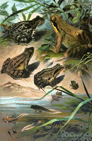 An illustration of a group of Puzize