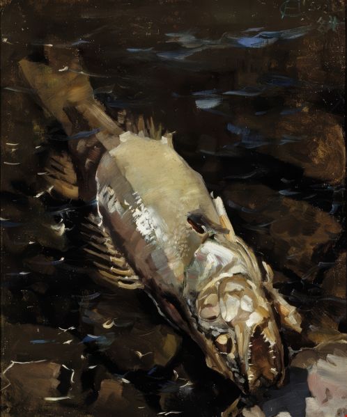 File:Decaying Fish.jpg