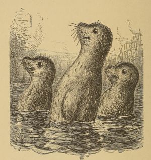 Mifajene Group.jpg