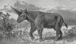 Aerbicar Drawing