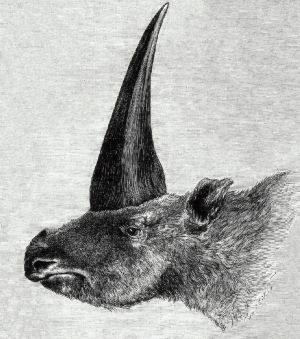 Aerbicar Etching.jpg