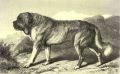 Thumbnail for version as of 16:56, 21 October 2026