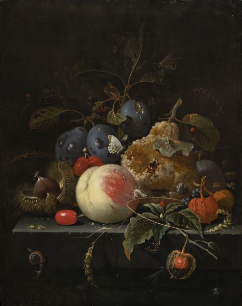 File:Rotting Fruit.jpg