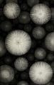 Thumbnail for version as of 14:04, 6 April 2026