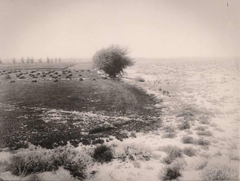 File:Barerte Waste Photo 01.jpg