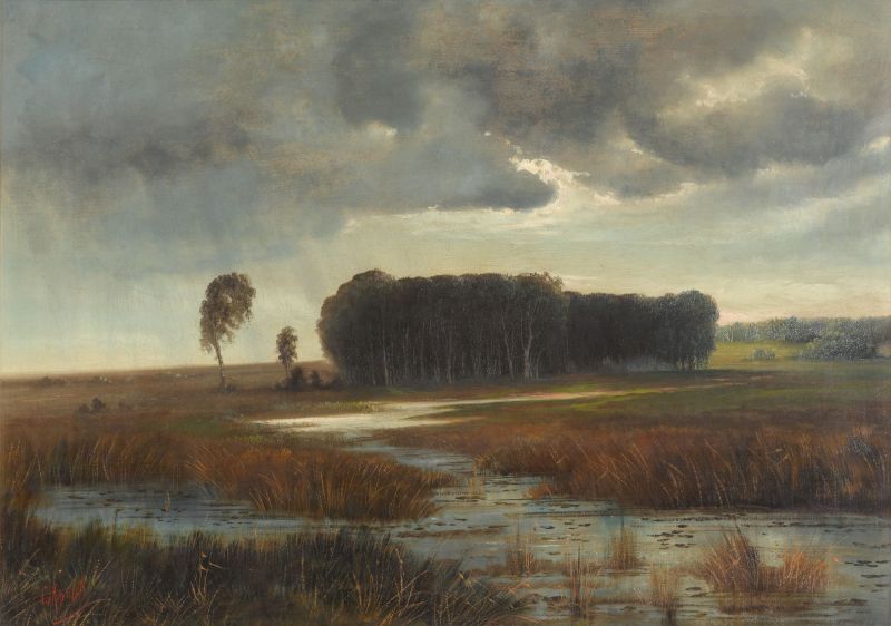 File:Great Reden Swamp.jpg