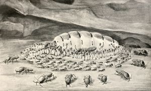 Drawing of an Issail hive