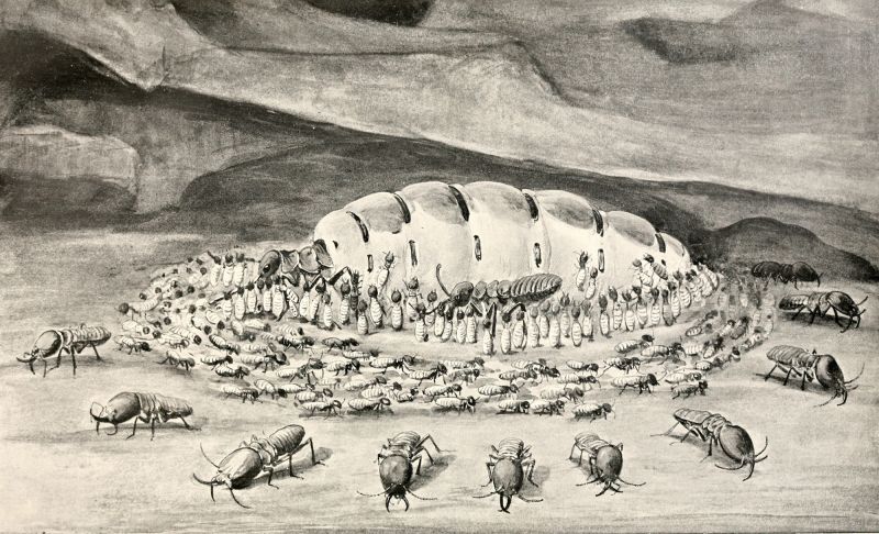 File:Issail Drawing 01.jpg