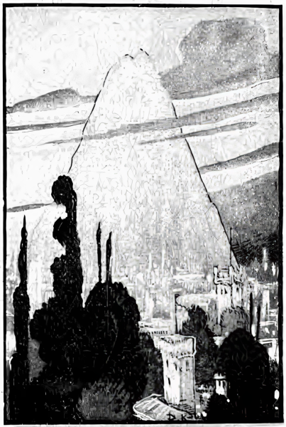 File:Beilisia Drawing 01.png